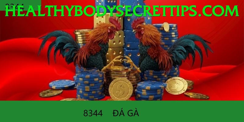 Đá Gà Trực Tiếp - Trải nghiệm tuyệt vời